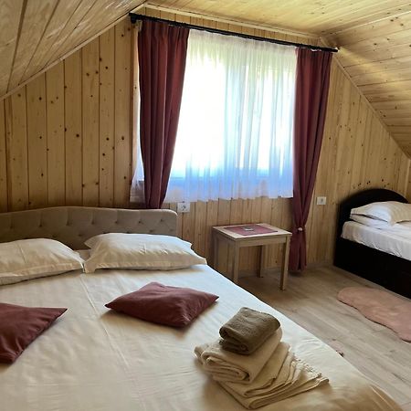 Şugag Casa Zorilor 아파트 외부 사진