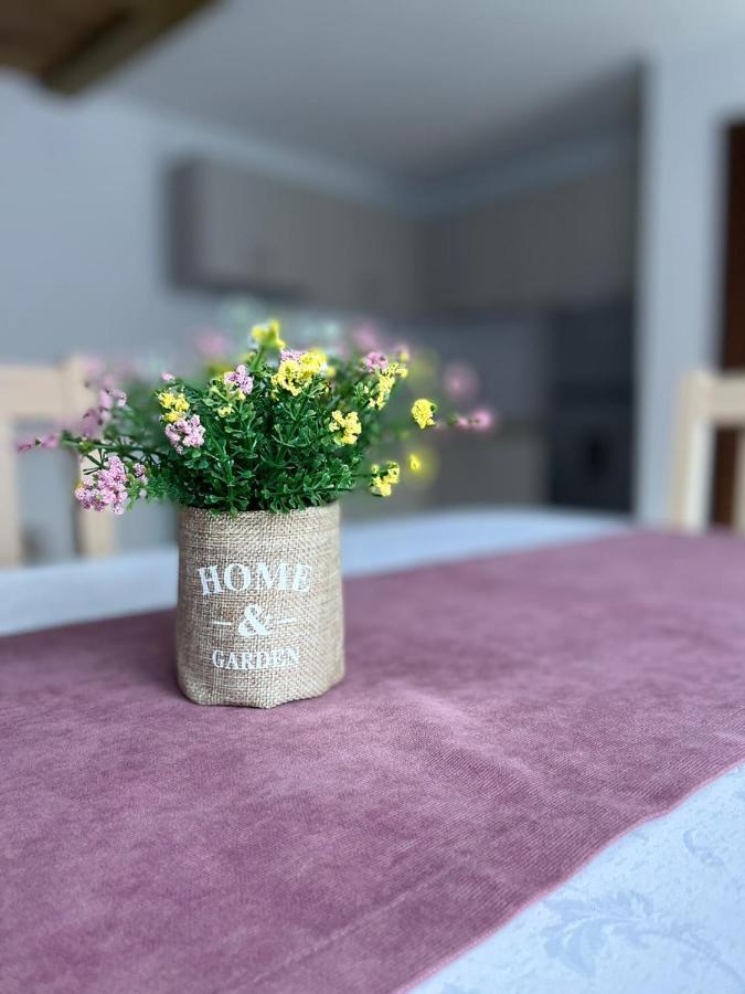 Şugag Casa Zorilor 아파트 외부 사진
